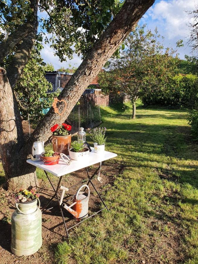 Ferienhaus "Am Staufenberg" แบลงเคนบวร์ก ภายนอก รูปภาพ