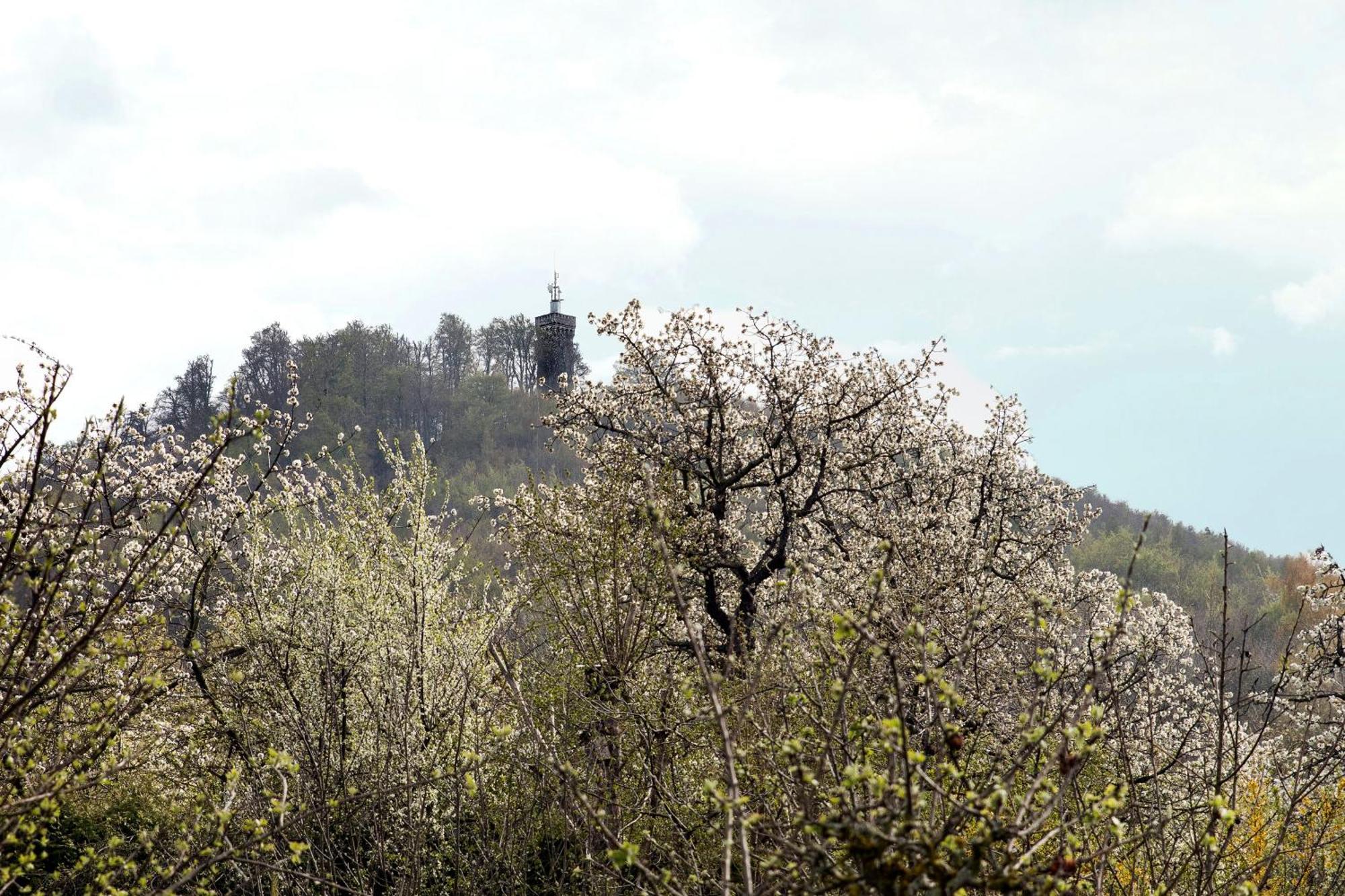 Ferienhaus "Am Staufenberg" แบลงเคนบวร์ก ภายนอก รูปภาพ